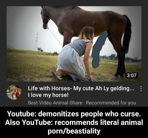 Zoophilia horse